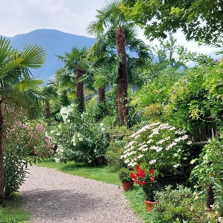Nora S Home 1 - Panoramic Terrace & Bio Garden Merano Exteriér fotografie